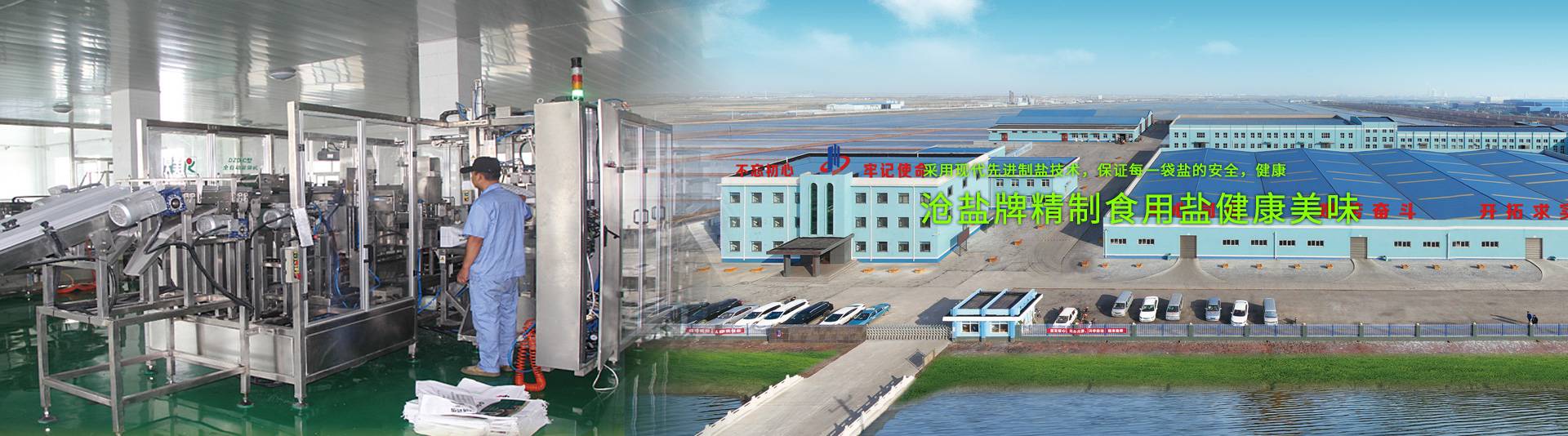 现代食盐产业基地