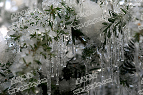 4500人登皂幕山赏冰色，佛山三水保安公司六玄网132432分享