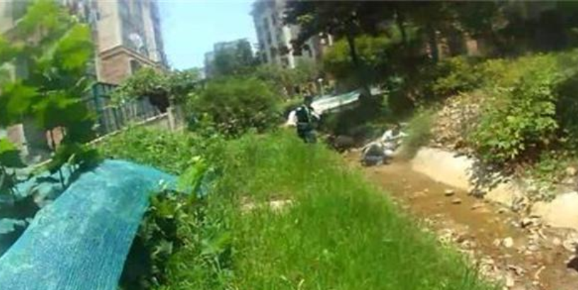 南京一小区保安勇抓小偷受重伤，业主自发捐款 7 万多元