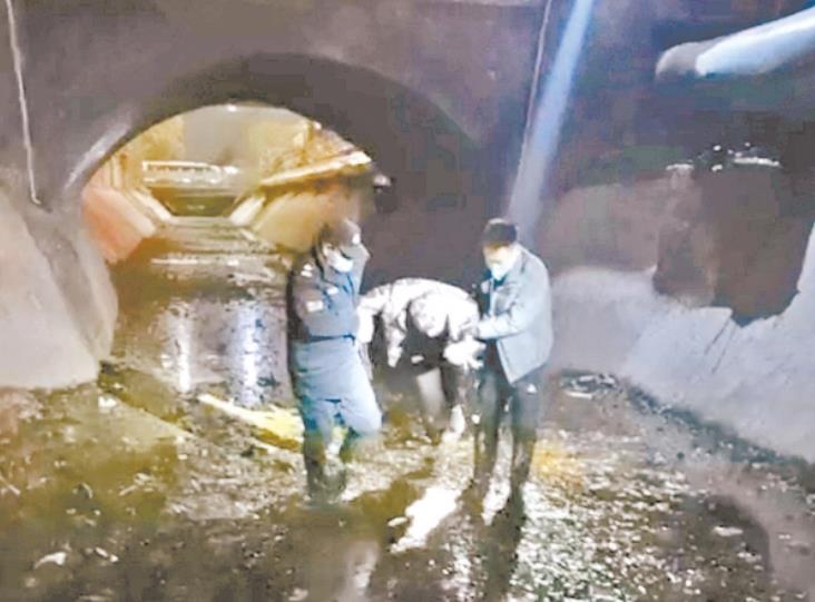 男子不慎坠河 保安下水施救