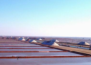 沧盐之恋(诗歌)